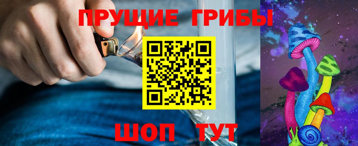 Галлюциногенные грибы мухоморы  Галлюциногенные грибы Psilocybine cubensis  Каменка  где купить   Вход с VPN 